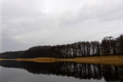 P1000225