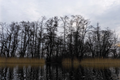 P1000236