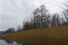 P1000266