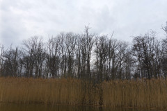 P1000267