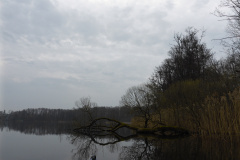 P1000270