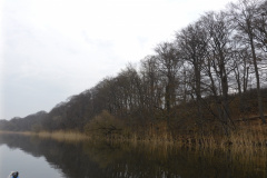 P1000272