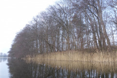 P1000295