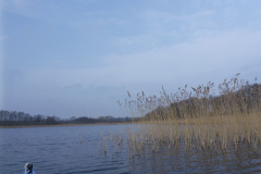 P1000299