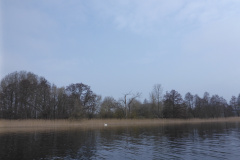 P1000305