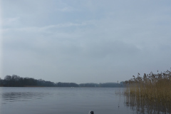 P1000308