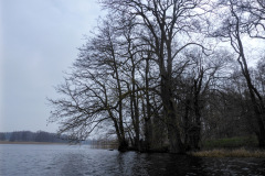 P1000311
