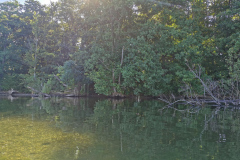 IMG_20220812_093656