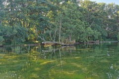 IMG_20220812_093807