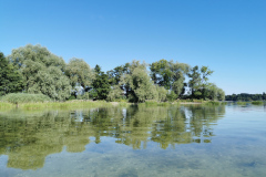 IMG_20220812_095535