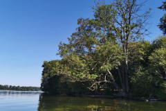 IMG_20220812_103622