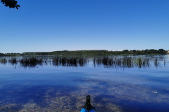 IMG_20220812_115605