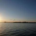 Paddeln-Inseln-Greifswalder-Oie-und-Ruden-020