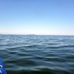 Paddeln-Inseln-Greifswalder-Oie-und-Ruden-047