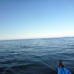 Paddeln-Inseln-Greifswalder-Oie-und-Ruden-053