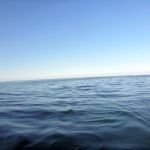 Paddeln-Inseln-Greifswalder-Oie-und-Ruden-055