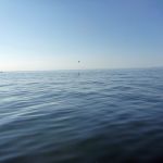 Paddeln-Inseln-Greifswalder-Oie-und-Ruden-056