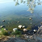 Paddeln-Inseln-Greifswalder-Oie-und-Ruden-080