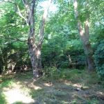 Paddeln-Inseln-Greifswalder-Oie-und-Ruden-082