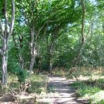 Paddeln-Inseln-Greifswalder-Oie-und-Ruden-085