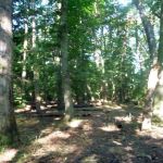 Paddeln-Inseln-Greifswalder-Oie-und-Ruden-087