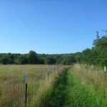 Paddeln-Inseln-Greifswalder-Oie-und-Ruden-106