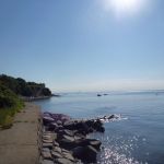 Paddeln-Inseln-Greifswalder-Oie-und-Ruden-118