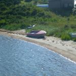 Paddeln-Inseln-Greifswalder-Oie-und-Ruden-127