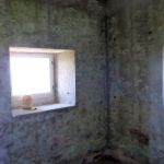 Paddeln-Inseln-Greifswalder-Oie-und-Ruden-152