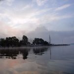 hro1.de_Insel-Vilm_Suedperd_259