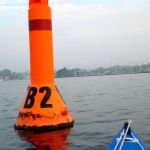 hro1.de_Insel-Vilm_Suedperd_263
