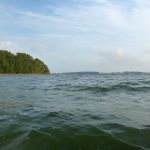 hro1.de_Insel-Vilm_Suedperd_306