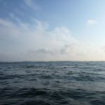 hro1.de_Insel-Vilm_Suedperd_308