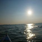 hro1.de_Insel-Vilm_Suedperd_309