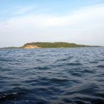 hro1.de_Insel-Vilm_Suedperd_310