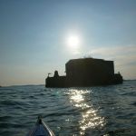 hro1.de_Insel-Vilm_Suedperd_311