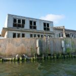 hro1.de_Insel-Vilm_Suedperd_314