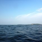 hro1.de_Insel-Vilm_Suedperd_316