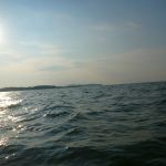 hro1.de_Insel-Vilm_Suedperd_317