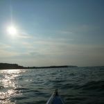 hro1.de_Insel-Vilm_Suedperd_318