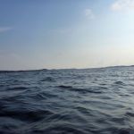 hro1.de_Insel-Vilm_Suedperd_319