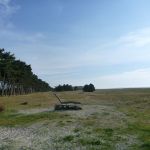 Kajak-Insel-Hiddensee-Dornbusch-054