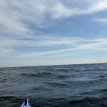 Kajak-Insel-Hiddensee-Dornbusch-091