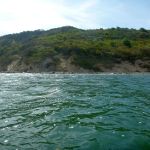 Kajak-Insel-Hiddensee-Dornbusch-098