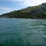 Kajak-Insel-Hiddensee-Dornbusch-100