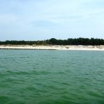 Kajak-Insel-Hiddensee-Dornbusch-118