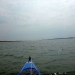 Kajak-Insel-Hiddensee-Dornbusch-130