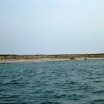 Kajak-Insel-Hiddensee-Dornbusch-134