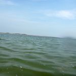 Kajak-Insel-Hiddensee-Dornbusch-144