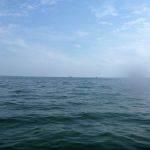 Kajak-Insel-Hiddensee-Dornbusch-154
